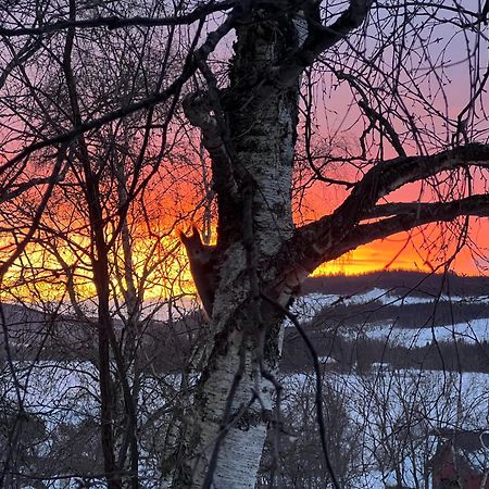 Appartamento Tommen'S Crib Hemsedal Esterno foto